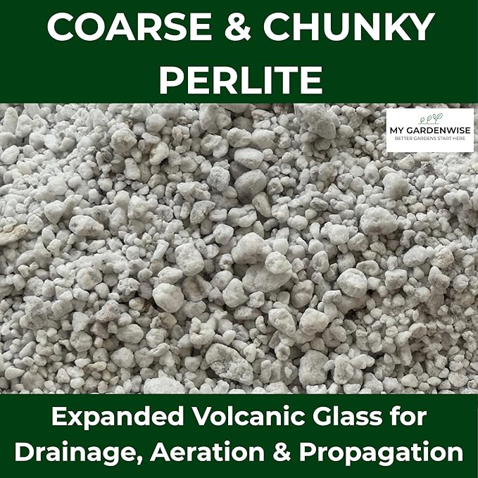 Perlite for Plants, Coarse and Chunky Horticultural Perlite, Organic Perlite for Gardening Indoor & Outdoor, Perlite Bulk Bag, Made in USA (1 Quart)
