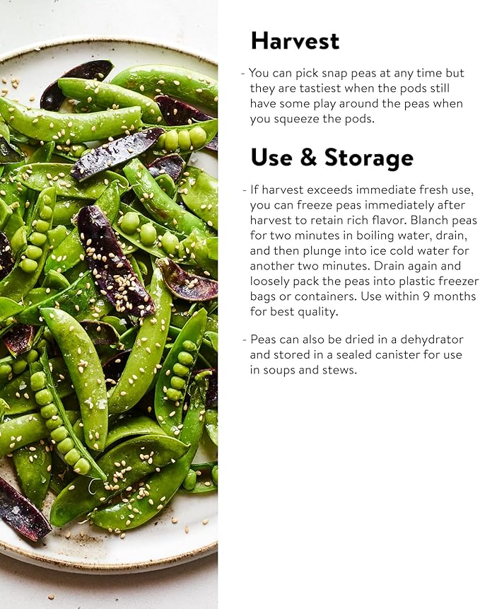 Burpee Sugar Snap Pea Seeds 300 seeds