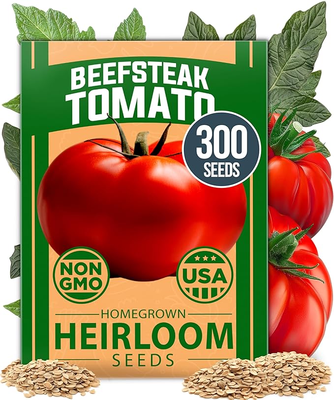 HOME GROWN Beefsteak Tomato Seed Pack - 300 Heirloom Tomato Seeds for Planting Outdoors High-Yield Non-GMO Vegetable Seeds for Growing Large, Meaty Tomatoes for Summer Dishes (Solanum lycopersicum)