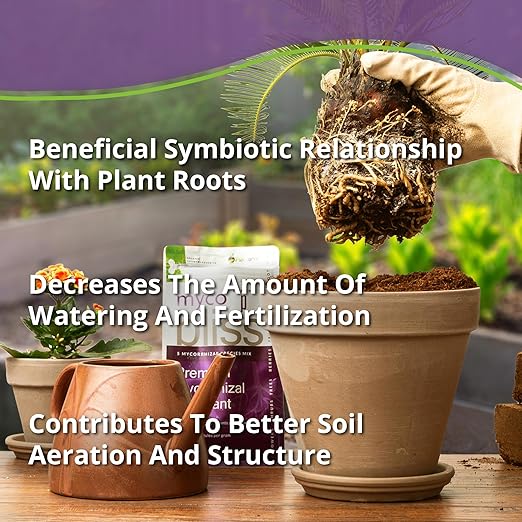 Myco Bliss Powder (2lbs) - Mycorrhizal Fungi for Soil - 5 Strain Mycorrhizal Inoculant with 1000 Propagules Per Gram - Highly Concentrated Mycorrhizae for Plants, Potting Soil, & Garden Soil