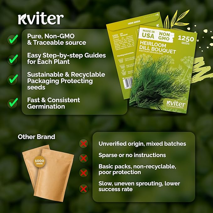 KVITER 1250 Dill Bouquet (Anethum graveolens) Seeds – Aromatic Herb for Gardens and Containers – Early Flowering, Excellent for Pickling, Fresh Use, and Seasoning
