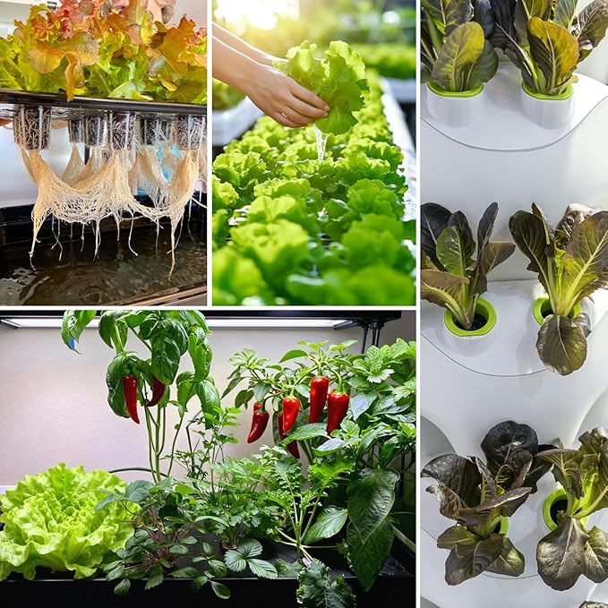 Hydroponic Growing Sponges 50 Pack, Universal Fit Sponges & Seed Pods for Starting Seeds, Indoor Outdoor Garden for Seed Germination & Plant Cloning, Stronger Roots