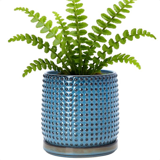 D'vine Dev 6 Inch Ceramic Beaded Stoneware Planter Pot - Flower Pot with Drainage Holes and Saucers for Indoor Succulent Plants or Flowers, Ocean Teal, 27-C-X-8