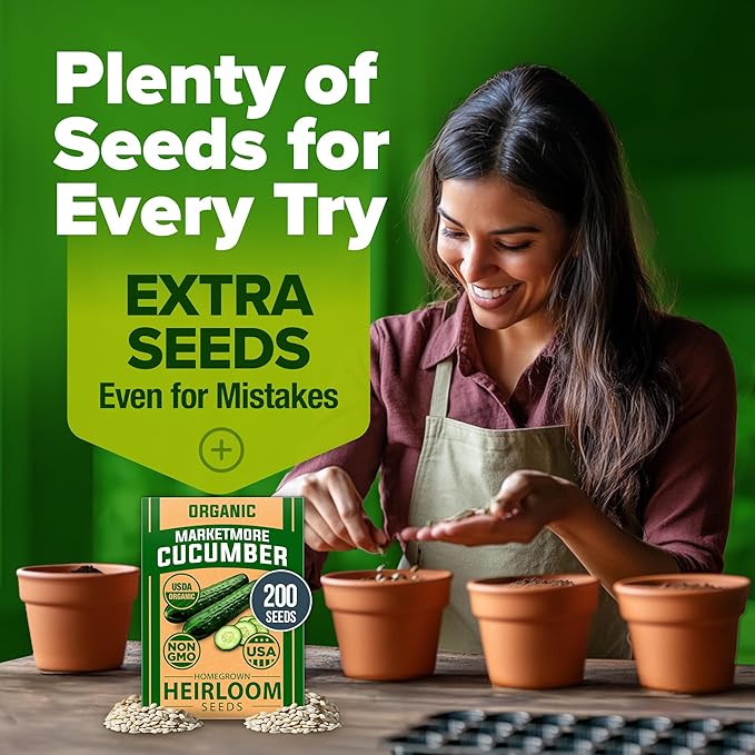 HOME GROWN Non GMO Organic Cucumber Seeds - 200 Marketmore Heirloom Vegetable Seeds for Planting in Trellises, Raised Beds, Containers (Cucumis sativus)