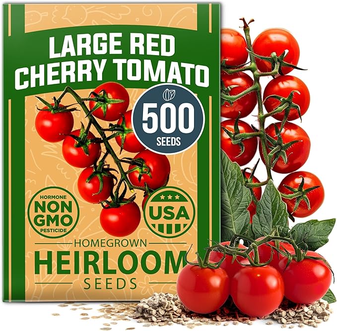 HOME GROWN Large Red Cherry Tomato Seeds Pack 500 High Germination Heirloom Seeds Vegetable Seeds for Garden,Homestead & Self-Sufficient Growing(Solanum lycopersicum)