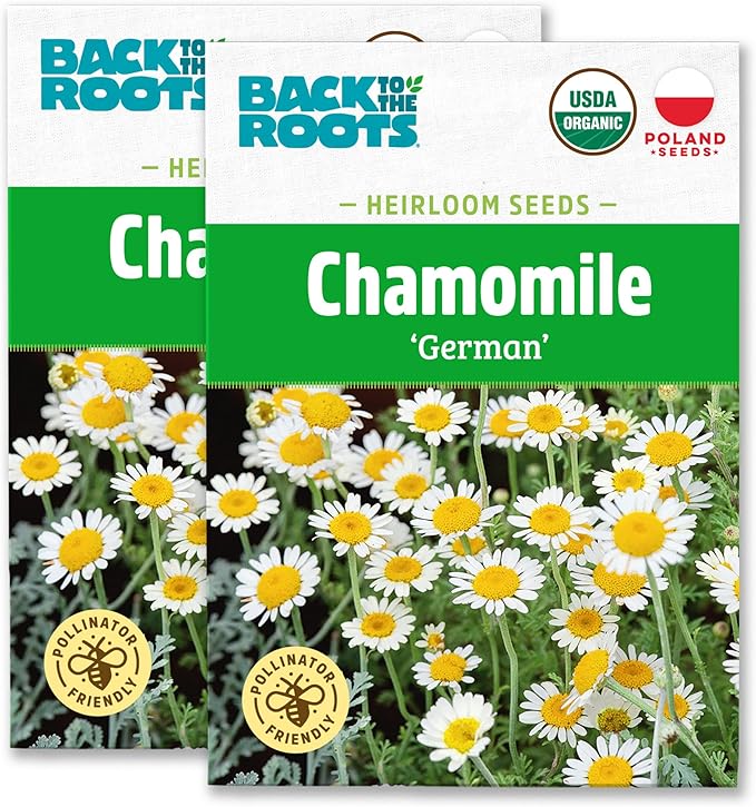 Back to The Roots 100% Organic Heirloom Seeds - Chamomile Seeds for Planting Value Pack (140mg Total)