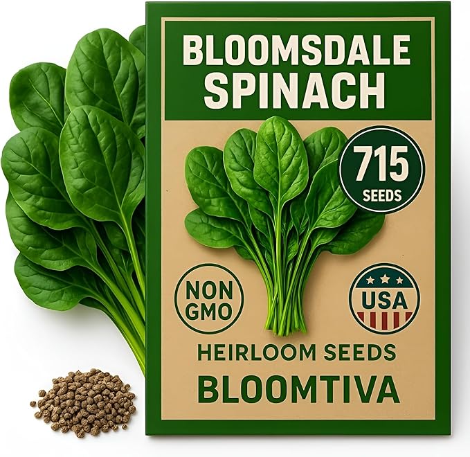 Bloomsdale Spinach Seeds for Planting Outdoors and Indoors - 715 Heirloom 𝗡𝗢𝗡-𝗚𝗠𝗢 Spinach Seeds for Hydroponics – High Germination Rate - Made in 𝗨𝗦𝗔 (Spinacia Oleracea)
