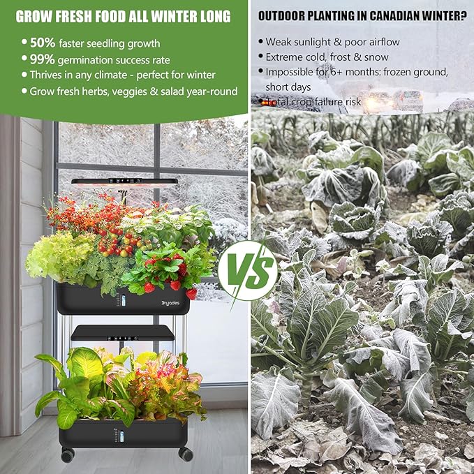 44-Pod Indoor Hydroponic Growing System + 3 Free Seeds Starter Kit (Lettuce, Salad Mixed, Basil Seeds) – Dual 53W Full-Spectrum LED, 10-L Water Tank, 2-Tier Grow Pods (44 Pods)