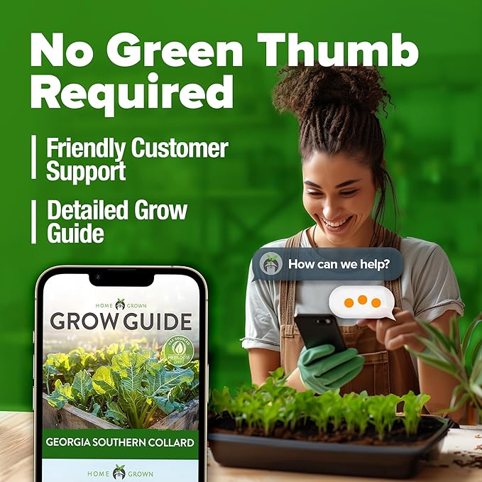 HOME GROWN Non GMO Collard Greens Georgia Southern - 300 High Germination Heirloom Seeds for Planting in Your Vegetable Garden (Brassica oleracea)