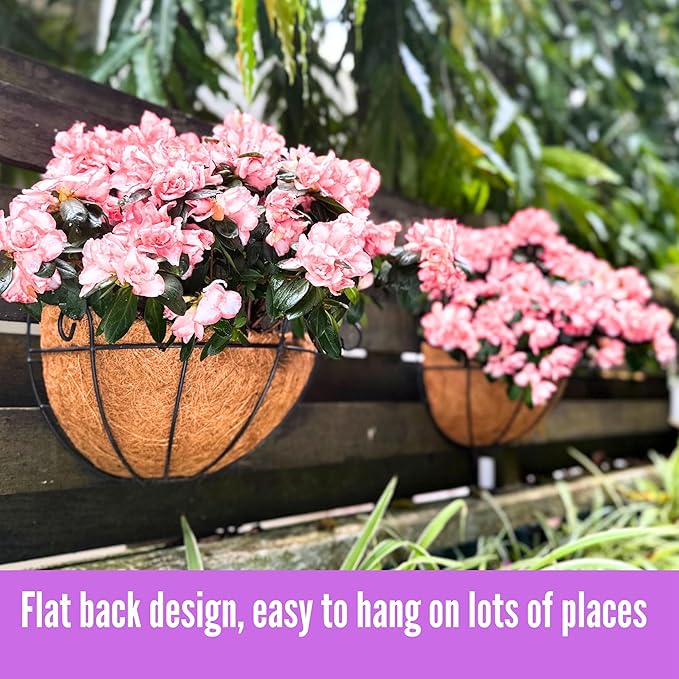 ShopLaLa Wall Hanging Planter for Outdoor Plants (2 Pack, 12 Inch) Wall Mounted Flower Baskets with Coco Liner for Outside Plant, Fence Railings Pots Holder Balcony Deck Porch Modern Garden Decor