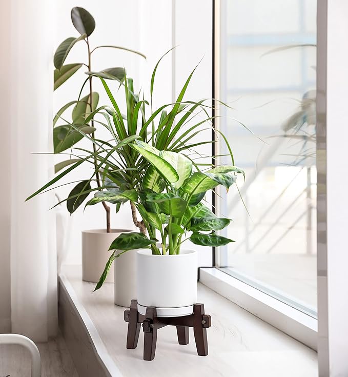 D'vine Dev Ceramic Planter with Wood Stand - 6 Inch Mid Century Modern Cylinder Plant Pot Set for Indoor Plants & Flowers, White, 55-A-Z-1