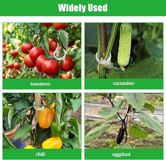 YFANITI 300 PCS White Plant Fixing Clips,Plant Support Clips, Tomato Clips, Plastic Trellis Clips,Garden Clip for Fixing Stem and Vine