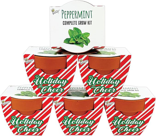 BUZZY Seeds Holiday Candy Cane Mini Terracotta Grow Pots, 6-Pack Peppermint Seeds, Indoor Plant Starter Kit, Stocking Stuffers, Party Favors