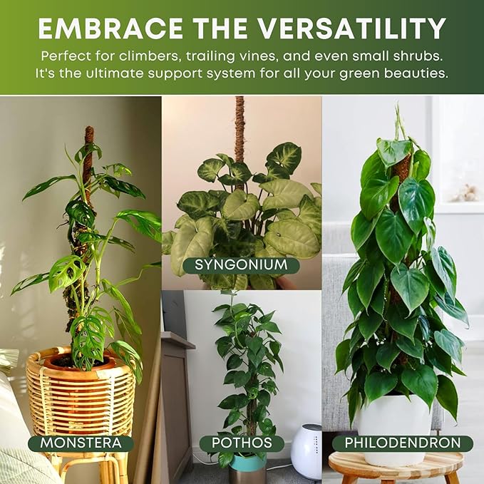 Auraville Moss Pole Monstera Plant Support | 60 Inch Plant Stakes for Indoor Plants | Coconut Palm Fiber Moss Poles for Climbing Plants | Handmade Plant Sticks Support Tall Monstera, Pothos & More