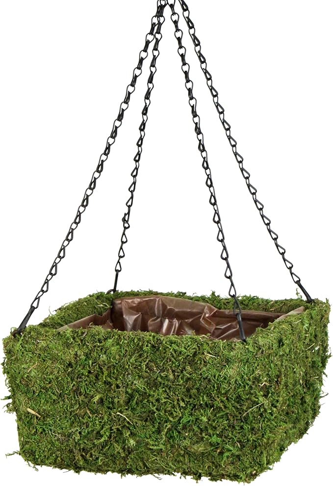 SuperMoss (29210) MossWeave Hanging Basket - Square, Fresh Green, Small (10.5 Diameter)"