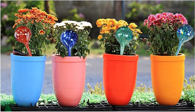 5Star Aqua Plant Watering Globes - Automatic Watering Ball Bulbs - Self Watering Plant Glass Bulbs System (16, Large)