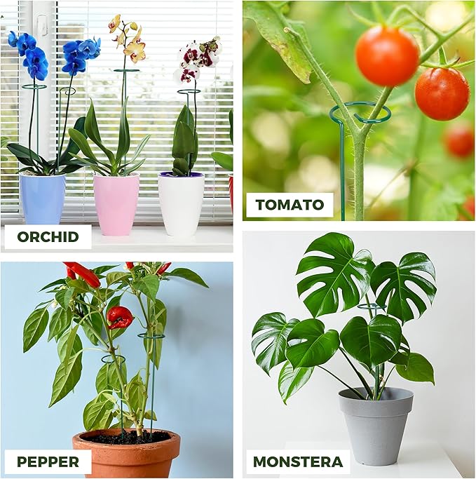 Kingsyard 24 Inch Plant Support Stake - 10 Pack, 4.5mm Thick All Metal Garden Plant Stakes Plant Prop for Single Stem Flowers Dahlia Amaryllis Orchid Lily Rose Peony Tomatoes Gladiolus