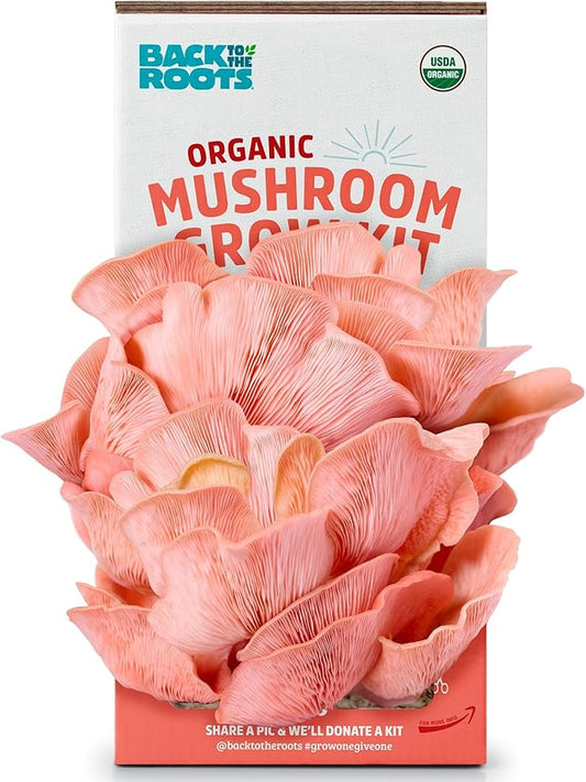 Back to the Roots Organic Pink Mushroom Grow Kit, Harvest Gourmet Mushrooms In 10 Days