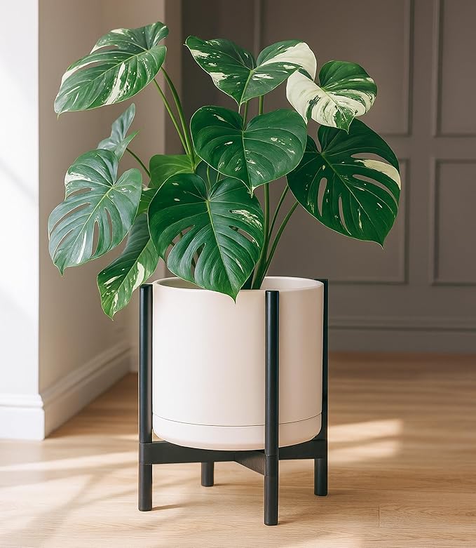 D'vine Dev Ceramic Planter with Ebony Stand - 14 Inch Modern Round Flower Pot with Wood Planter Holder, Oatmeal, 55-B-S-8