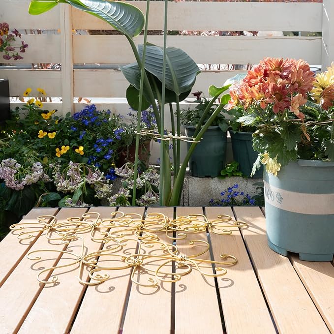 Goooxim 5PCS Monstera Plant Stem Support Hook - 6.5 * 6.5IN Durable Metal Stem Stabilizer for Monstera Plants and Fishbone Cactus - Gentle Protection Leaf Holder - Easy Installation - 5 Piece Set