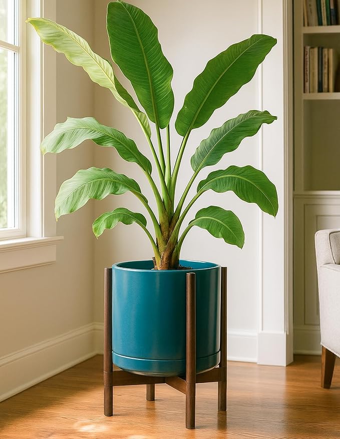 D'vine Dev Ceramic Planter with Walnut Color Stand - 14 Inch Modern Round Flower Pot with Wood Planter Holder, Teal, 55-B-T-4