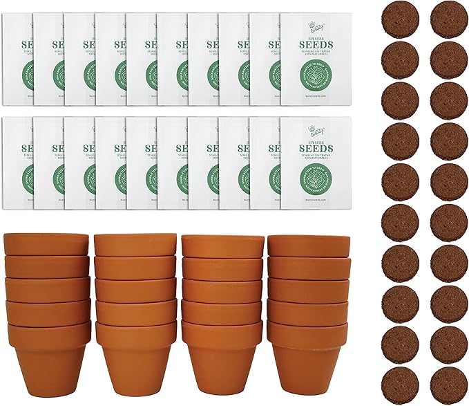 BUZZY Seeds Terracotta Mini Grow Pots – Herb Flower Plant Starter Kit Assorted 20-Pack with Lavender Seeds, Indoor Grow Your Own Gardening Gift for DIY Projects and Party Favors