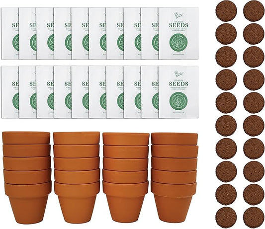 BUZZY Seeds Terracotta Mini Grow Pots – Herb Flower Plant Starter Kit Assorted 20-Pack with Lavender Seeds, Indoor Grow Your Own Gardening Gift for DIY Projects and Party Favors