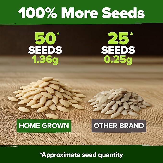 HOME GROWN Non GMO Persian Cucumber Seeds 50+ Heirloom Non-GMO, High-Yielding Beit Alpha Variety | Fast Growing, Sweet Tender Skin, Home Vegetable Garden Seeds (Cucumis sativus)