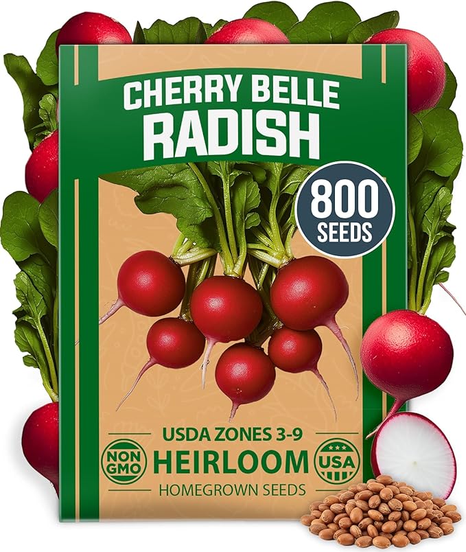 HOME GROWN Non GMO Cherry Belle Radish Seeds 800+ Heirloom Vegetable Seeds for Planting Outdoors Harvest in 30 Days Red Radishes, Spring and Fall Garden(Raphanus Sativus)