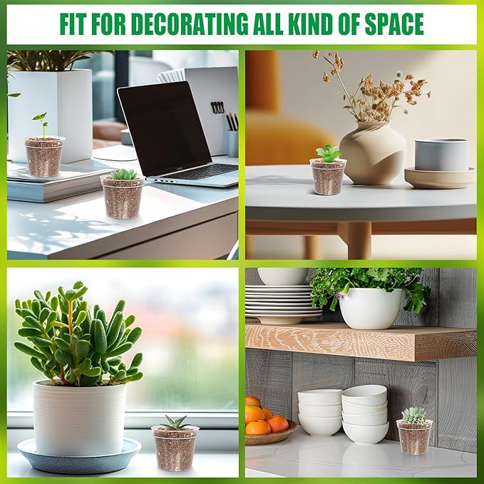 BTPLASTIK 50 Pack 2.5 Inch Clear Nursery Pots for Plants, Sturdy Plastic Plant Pot for Planting Vegetables Flowers Seedlings, Transparent Seed Starter Pots with Drainage Holes, garden, Gardening Gifts