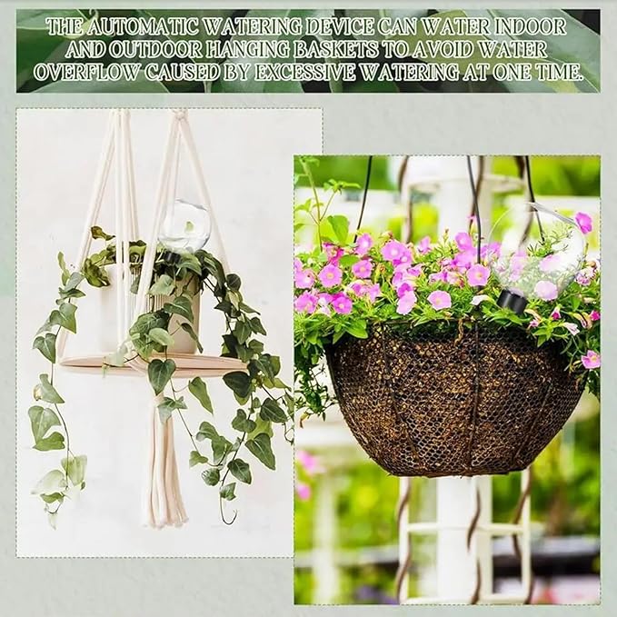 6Pcs Self Watering Globes Automatic Plant Waterer with Transparent Bulbs Plant Watering Device for Indoor Outdoor Potted Plants