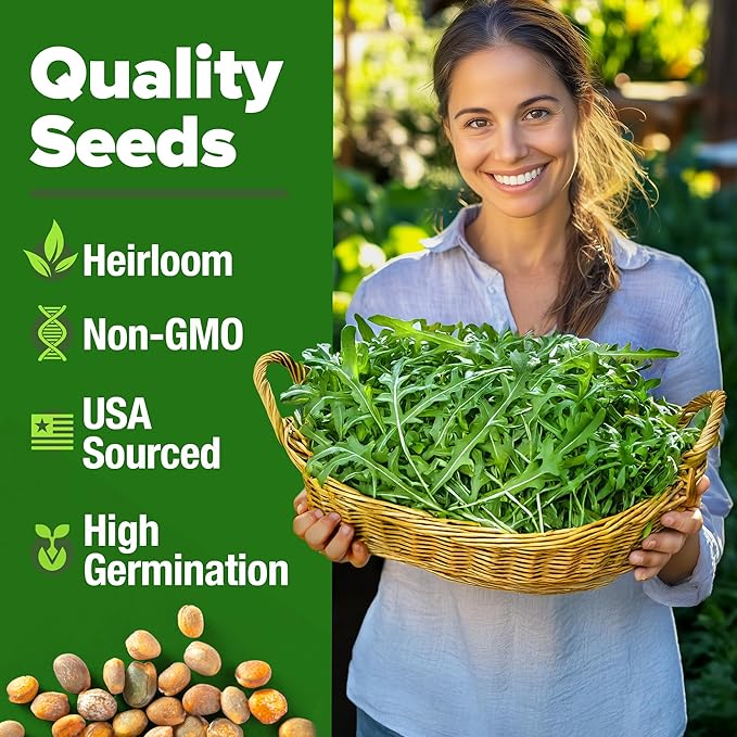 HOME GROWN Non GMO Arugula Roquette Seeds Pack 2,175 Heirloom Arugula Seeds for Planting Best for Outdoor Gardens,Providing Fast-Growing Greens for Salads - Eruca vesicaria