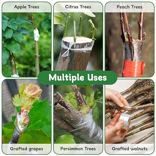 HAINANSTRY Grafting Tape 3PCS, Stretchable Garden Grafting Tape for Fruit Trees, Tree Plant Tape, Plants Repair Tapes for Floral Fruit Tree, Budding Tape(Green & White & Yellow)