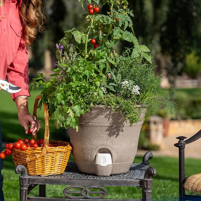 Bernini FirmaStone 15" Self-Watering Planters, Set of 2 – Durable Indoor/Outdoor Pots with Drainage Plug & Built-in Reservoir – Lightweight Garden Planters for Patio, Porch, Balcony (Burgundy)