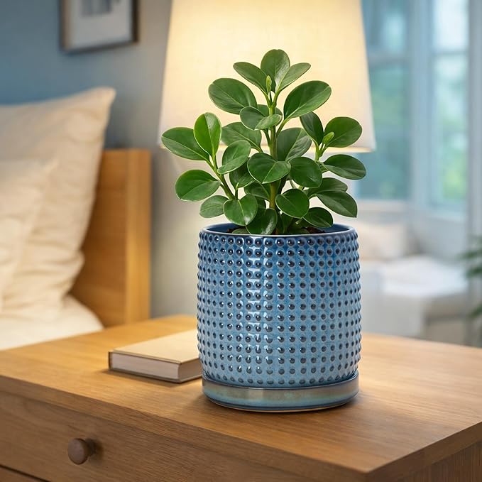 D'vine Dev 6 Inch Ceramic Beaded Stoneware Planter Pot - Flower Pot with Drainage Holes and Saucers for Indoor Succulent Plants or Flowers, Ocean Teal, 27-C-X-8