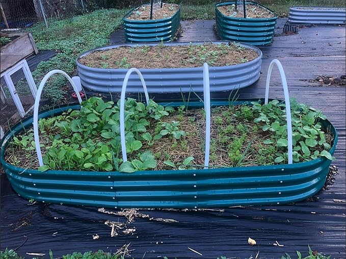4 Pack 8x3x1FT Galvanized Raised Garden Bed Large Metal Planter Box Kit Elevated Raised Garden Planters for Outdoor Plants, Green