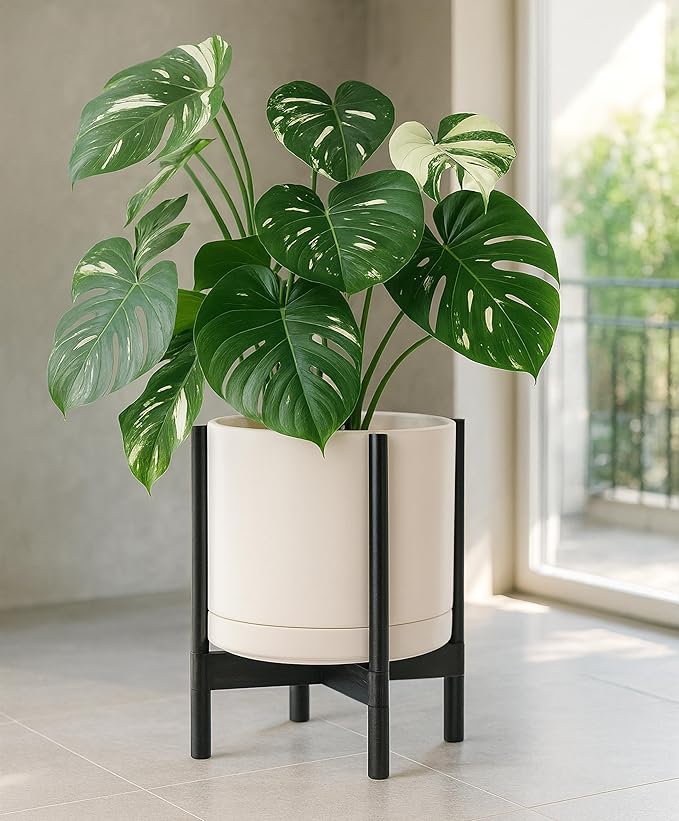 D'vine Dev Ceramic Planter with Ebony Stand - 14 Inch Modern Round Flower Pot with Wood Planter Holder, Oatmeal, 55-B-S-8