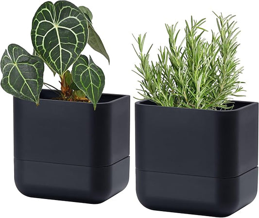 Phoenix Vine 6.5-Inch Wall Mounted Self-Watering Planter Pot for Indoor Houseplants and Herbs | Modern Hanging Planter for Window Sills, Bathroom Walls, Home & Office Décor, Black, Set of 2, 01-WP-B-2