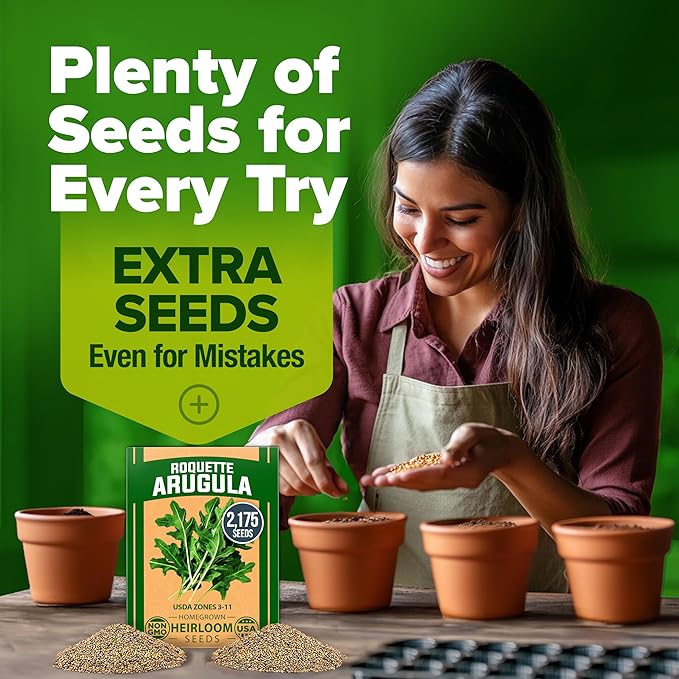 HOME GROWN Non GMO Arugula Roquette Seeds Pack 2,175 Heirloom Arugula Seeds for Planting Best for Outdoor Gardens,Providing Fast-Growing Greens for Salads - Eruca vesicaria