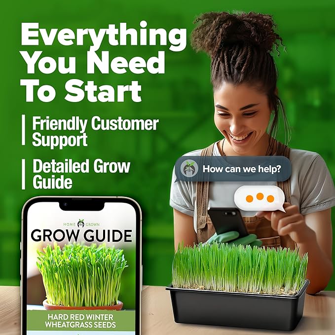 HOME GROWN 12,000+ Wheatgrass Seeds Bulk Pack(1.5 lb) Hard Red Winter Wheatgrass Heirloom, Sprouting for Juicing, Microgreens, Smoothies & Indoor Gardening(Triticum aestivum)