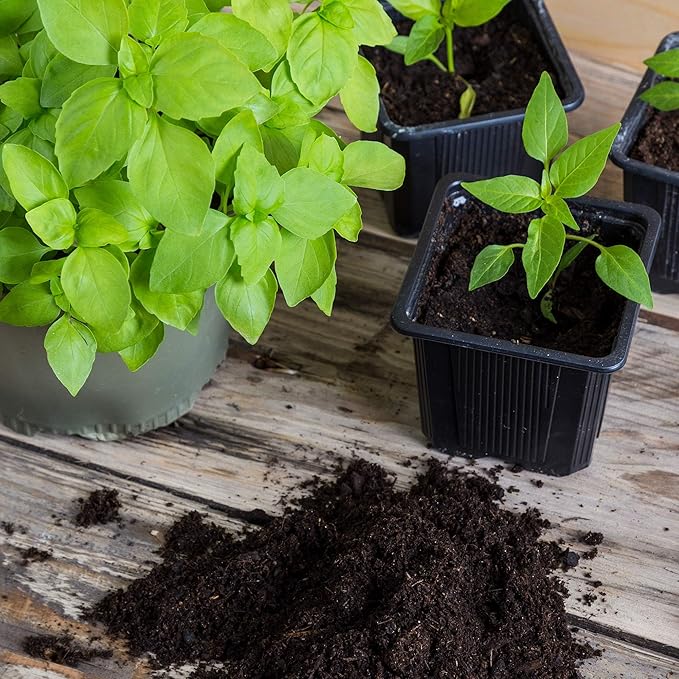 Minute Soil Organic Coco Peat 12 Pack – Lightweight Growing Bricks Expand to 18 Gal – Potting Mix for Microgreens, Herbs, Vegetables, Flowers, Indoor Containers, Seed Trays