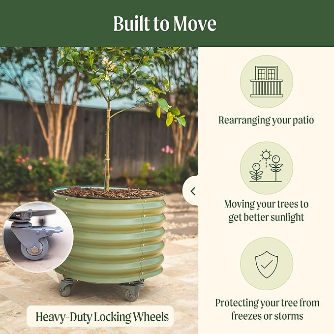 Rolling Metal Citrus Tree Planter, Self-Watering Round Large Pot for Growing Trees Tomatoes Vegetables and Flowers, Raised Garden Bed with Wheels for Porch Patio & Backyard, Twin Pack-Olive Green