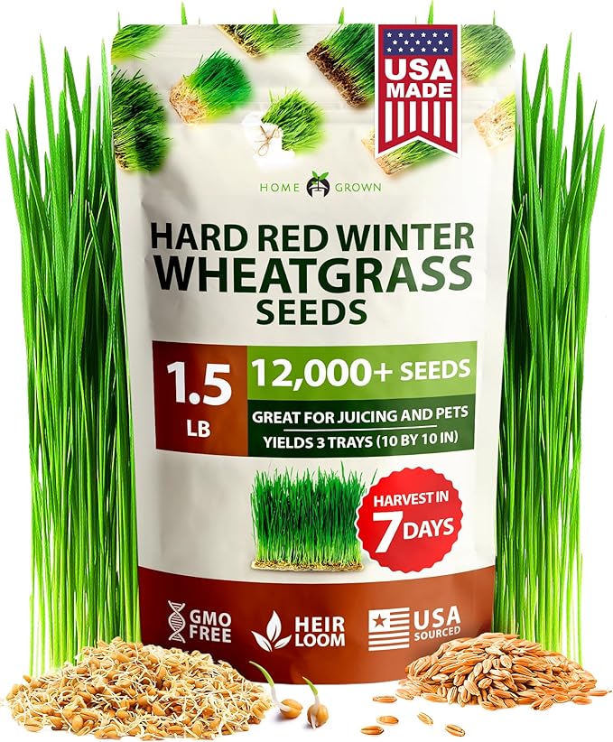 HOME GROWN 12,000+ Wheatgrass Seeds Bulk Pack(1.5 lb) Hard Red Winter Wheatgrass Heirloom, Sprouting for Juicing, Microgreens, Smoothies & Indoor Gardening(Triticum aestivum)
