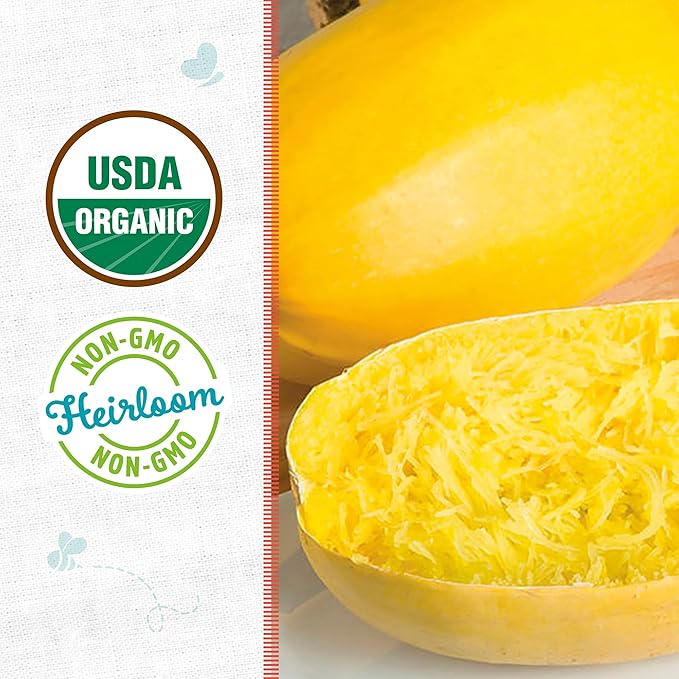 Back to The Roots 100% Organic Heirloom Seeds - Spaghetti Squash Seeds for Planting Value Pack (5.6g Total)