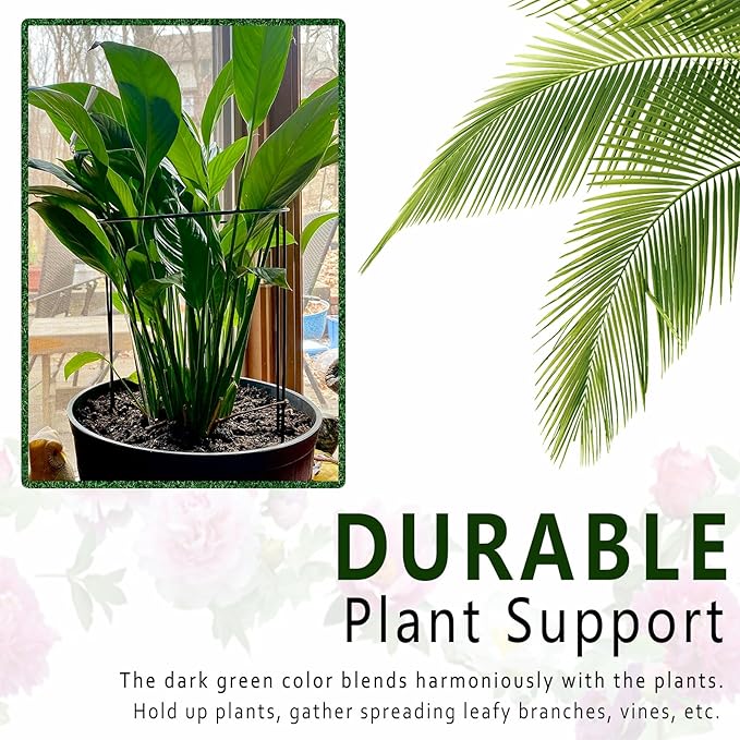 Soupiar 6 Pack Plant Support Stakes, Metal Monstera Plant Support Stakes for Indoor Plants, Large Garden Plant Support Ring, Tomato Cage, Tall Plant Holder Sticks (10" W X 15.8" H)
