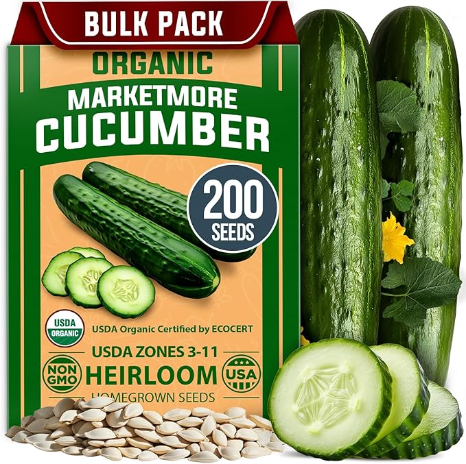 HOME GROWN Non GMO Organic Cucumber Seeds - 200 Marketmore Heirloom Vegetable Seeds for Planting in Trellises, Raised Beds, Containers (Cucumis sativus)