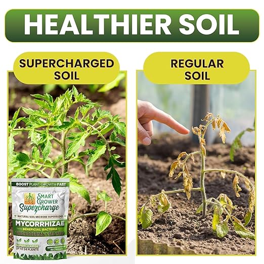 Mycorrhizal Fungi with Beneficial Bacteria, Trichoderma, Sea Kelp, Molasses, Yucca, Smart Grower Supercharge Plant Root Enhancer 4oz Super Concentrate Powder Makes 50 Gallons