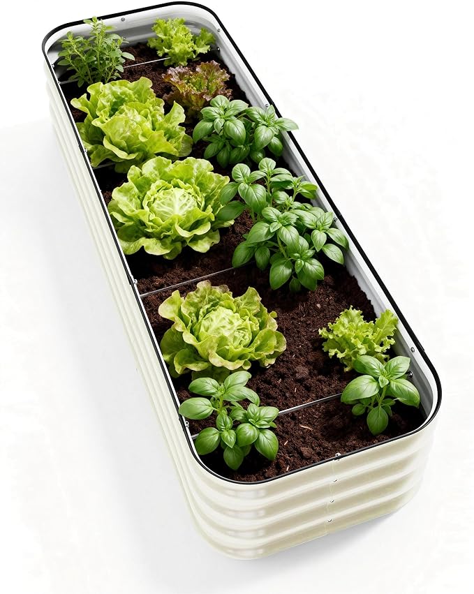 DaisyVibe Raised Garden Bed Kit, Planter Raised Garden Boxes Outdoor, Oval Large Metal Raised Garden Beds for Vegetables Flowers (White, 8ftx2ftx1ft)