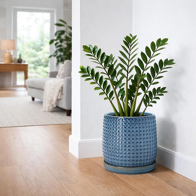 D'vine Dev 10 Inch Ceramic Beaded Stoneware Planter Pot - Flower Pot with Drainage Holes and Saucers for Indoor Succulent Plants or Flowers, Ocean Teal, 27-C-P-8