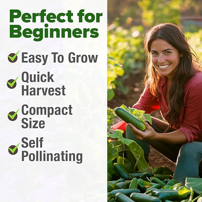 HOME GROWN Non GMO Persian Cucumber Seeds 50+ Heirloom Non-GMO, High-Yielding Beit Alpha Variety | Fast Growing, Sweet Tender Skin, Home Vegetable Garden Seeds (Cucumis sativus)